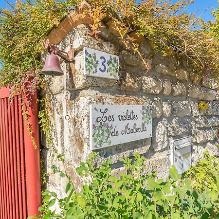 Les Violettes De Malleville 3*