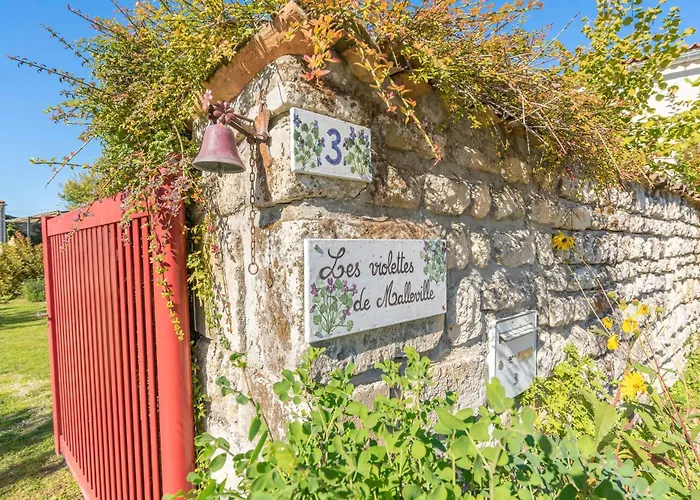 Les Violettes De Malleville 3*